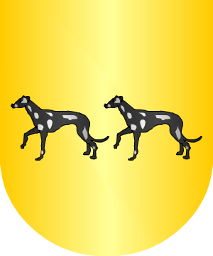 ESCUDO PRECEDENTE
